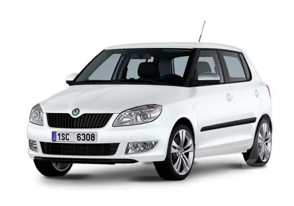 EVA-коврики для Skoda/Шкода за 1 день - любые модели и года выпуска