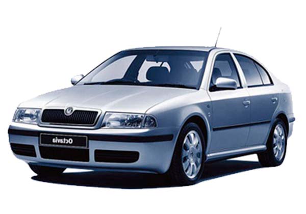 EVA-коврики для Skoda/Шкода за 1 день - любые модели и года выпуска