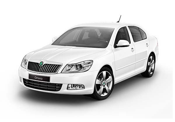 EVA-коврики для Skoda/Шкода за 1 день - любые модели и года выпуска