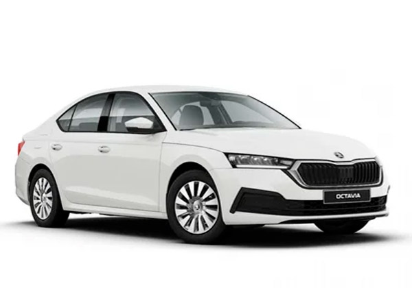EVA-коврики для Skoda/Шкода за 1 день - любые модели и года выпуска